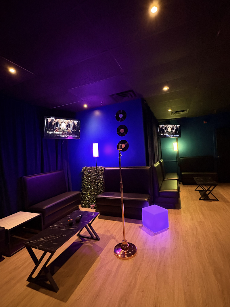 Vocals and Vibes Large Room